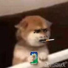 苏神玩国产沙雕游戏视频