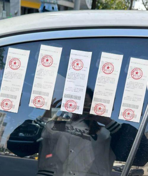 国产车罚单视频大全图片,视频图片揭示违规现象