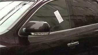 国产车罚单视频大全图片,视频图片揭示违规现象