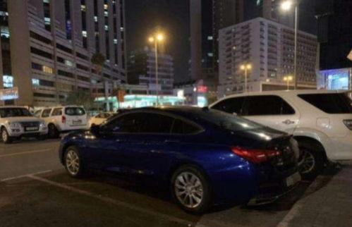 台湾街头现身国产车视频