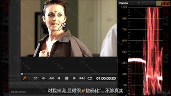 国产69色在线视频,揭秘国内色情影视产业的隐秘角落