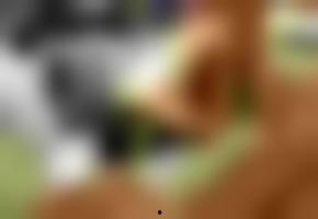 国产欧洲最新视频,最新视频引热议！